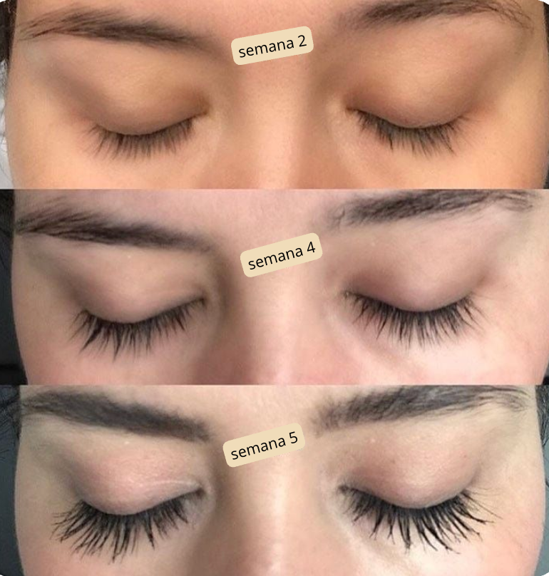 Zensaia eyelash Serum